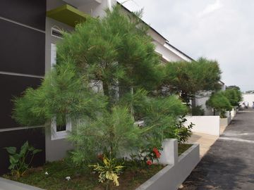 cluster cocok untuk semua kaum milenial