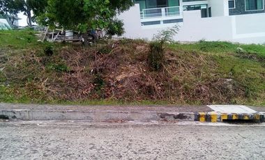 154 SQM ELEVATED FLAT Terrain with Great Overlooking Sea View Lot for Sale in Bulacao Talisay Cebu