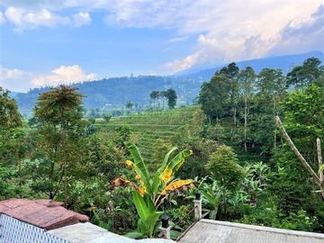 DIJUAL RUMAH JOGLO ADA KOLAM RENANG KEMUNING KARANGANYAR
