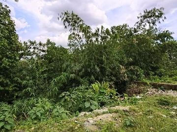 Di jual Kavling di daerah berkembang Desa Kelapa Nunggal Bogor