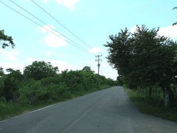 1.18 hectáreas plana en jilguero cerca de Jamapa cercado y en zona alta