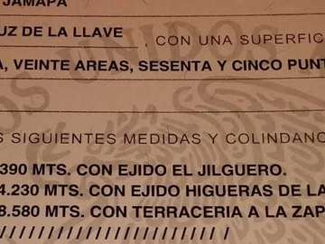 1.18 hectáreas plana en jilguero cerca de Jamapa cercado y en zona alta