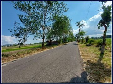 Tanah Kavling Mangku Jalan Aspal Prambanan-Bugisan