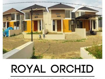 Cluster Banyak Bonus Di Royal Orchid