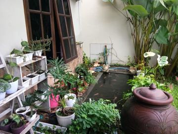 Rumah Murah Modern Tanah Luas dalam Perum Hoscokroaminoto Kodya