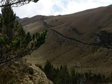 VENDO HACIENDA CON CRIADERO DE TRUCHAS EN EL ANGEL- CARCHI