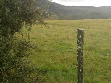 VENDO HACIENDA CON CRIADERO DE TRUCHAS EN EL ANGEL- CARCHI