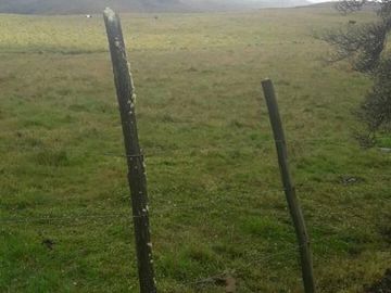 VENDO HACIENDA CON CRIADERO DE TRUCHAS EN EL ANGEL- CARCHI