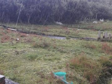 VENDO HACIENDA CON CRIADERO DE TRUCHAS EN EL ANGEL- CARCHI
