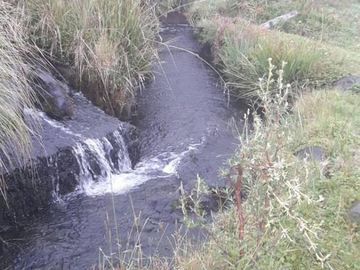 VENDO HACIENDA CON CRIADERO DE TRUCHAS EN EL ANGEL- CARCHI