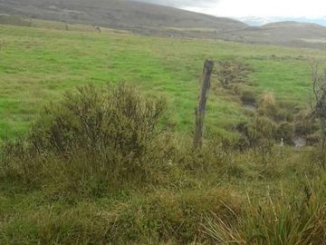 VENDO HACIENDA CON CRIADERO DE TRUCHAS EN EL ANGEL- CARCHI