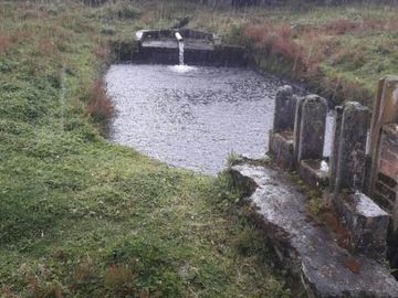 VENDO HACIENDA CON CRIADERO DE TRUCHAS EN EL ANGEL- CARCHI