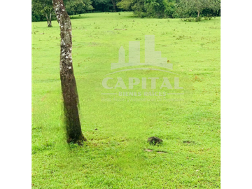 SE VENDE FINCA GANADERA EN DOS BOCAS - SON