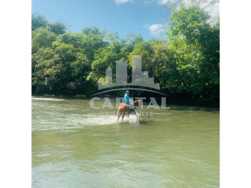 SE VENDE FINCA GANADERA EN DOS BOCAS - SON