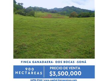 SE VENDE FINCA GANADERA EN DOS BOCAS - SON