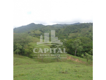 SE VENDE FINCA GANADERA EN DOS BOCAS - SON
