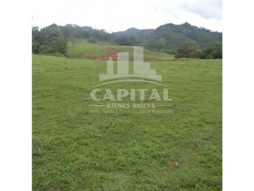 SE VENDE FINCA GANADERA EN DOS BOCAS - SON