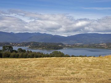 Parcela De 3ha Con Acceso Al Lago En Panguipulli