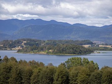 Parcela De 3ha Con Acceso Al Lago En Panguipulli