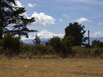Parcela De 3ha Con Acceso Al Lago En Panguipulli