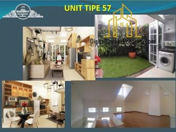 Grand Cinunuk Cluster Bloemenhof | ZAENALS1