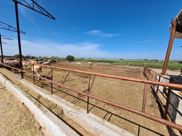 Venta Precioso Rancho en Aguascalientes al Pie de Carretera muy Completo