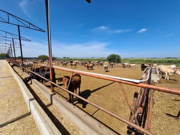 Venta Precioso Rancho en Aguascalientes al Pie de Carretera muy Completo