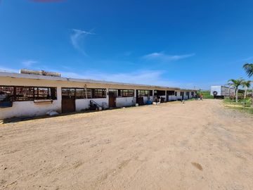 Venta Precioso Rancho en Aguascalientes al Pie de Carretera muy Completo