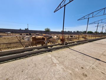 Venta Precioso Rancho en Aguascalientes al Pie de Carretera muy Completo