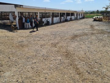 Venta Precioso Rancho en Aguascalientes al Pie de Carretera muy Completo