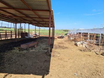 Venta Precioso Rancho en Aguascalientes al Pie de Carretera muy Completo