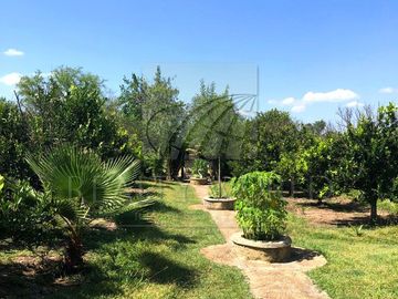 Quintas Venta Montemorelos Zona Montemorelos 30-QV-1691