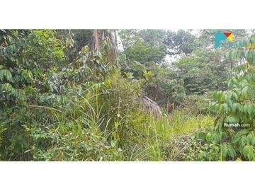 Dijual Tanah Murah Cocok Untuk Perumahaan Atau Resort