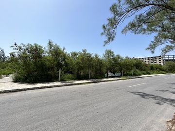 Lotes en Venta sobre Av Diaz Ordaz