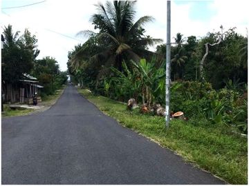 110 m2; Kawasan Industri Sentolo; Cocok Hunian Pun Investasi