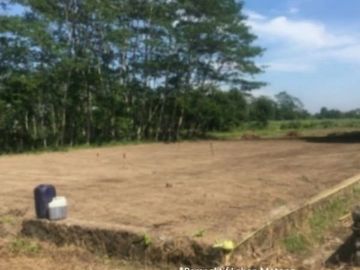 Kavling Perumahan Dekat Puskesmas Pagiyanten Adiwerna Legalitas SHM