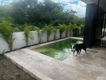 Paseo Country