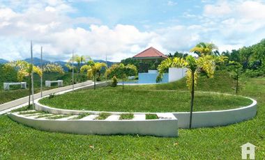 Lot in a Fully-Developed subdivision in Consolacion