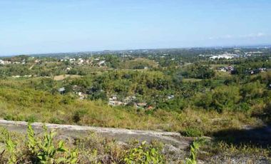 Lot in a Fully-Developed subdivision in Consolacion