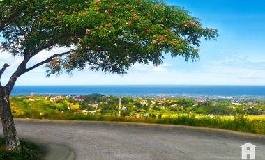 Lot in a Fully-Developed subdivision in Consolacion