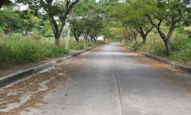 Lot in a Fully-Developed subdivision in Consolacion