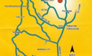 Lot in a Fully-Developed subdivision in Consolacion