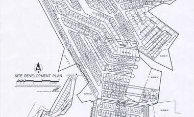Lot in a Fully-Developed subdivision in Consolacion
