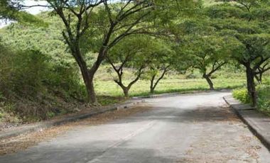 Lot in a Fully-Developed subdivision in Consolacion
