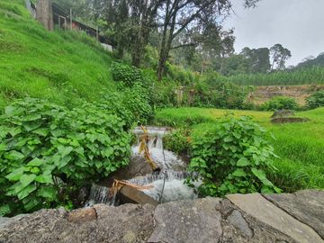 QUINTA EN VENTA CIENEGUILLAS DE GONZALEZ