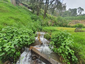 QUINTA EN VENTA CIENEGUILLAS DE GONZALEZ