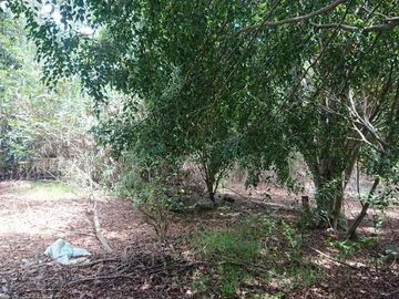 Venta espectacular terreno de 5.325m2, Vista, Ideal para constructores, Nayón