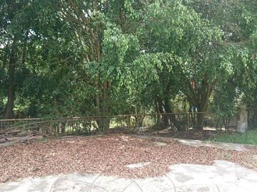 Venta espectacular terreno de 5.325m2, Vista, Ideal para constructores, Nayón