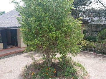 Venta espectacular terreno de 5.325m2, Vista, Ideal para constructores, Nayón