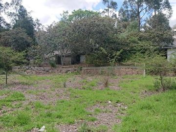 Venta espectacular terreno de 5.325m2, Vista, Ideal para constructores, Nayón